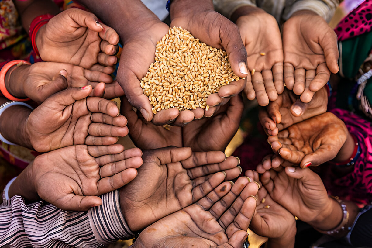 Lets Fight With Hunger Together